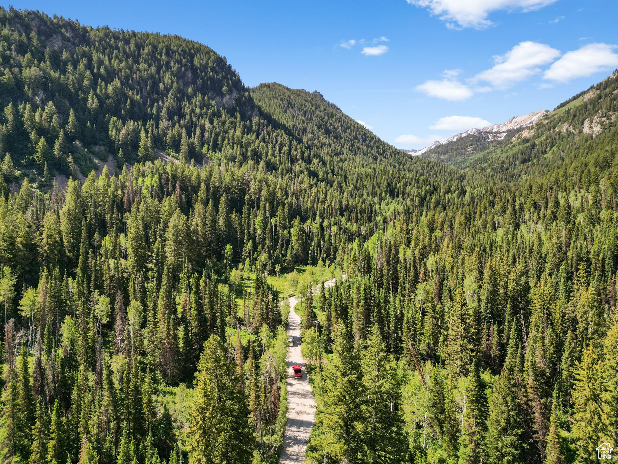 CARDIFF FORK - Residential
