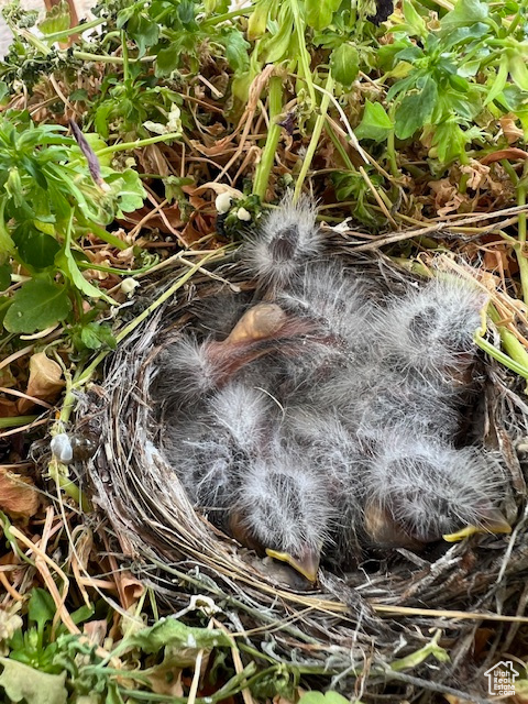 KENILWORTH SUB - Residential