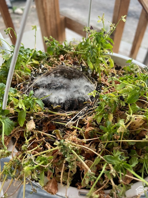 KENILWORTH SUB - Residential