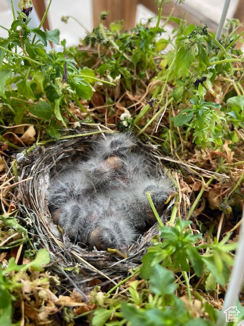 KENILWORTH SUB - Residential