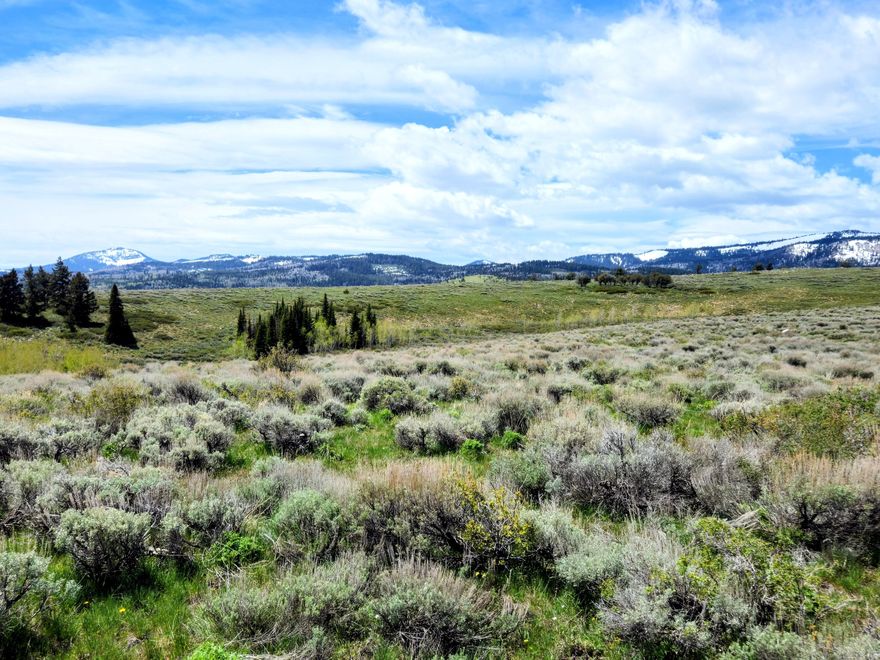 16.64 acres overlooking the Bear Lake Valley. The property is on top of Mill Canyon and borders the National Forest. Lots of flat usable ground, great spots for camping or build a cabin on. Some trees on the property. Stunning views of the surrounding mountains. Additional 40+ acres is also available. Contact the listing agent for more info and to schedule your showings
