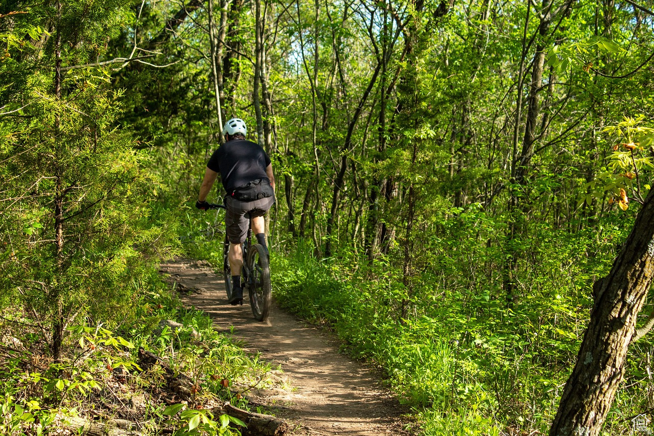 GLADES AT CANYON MEADOWS - Residential