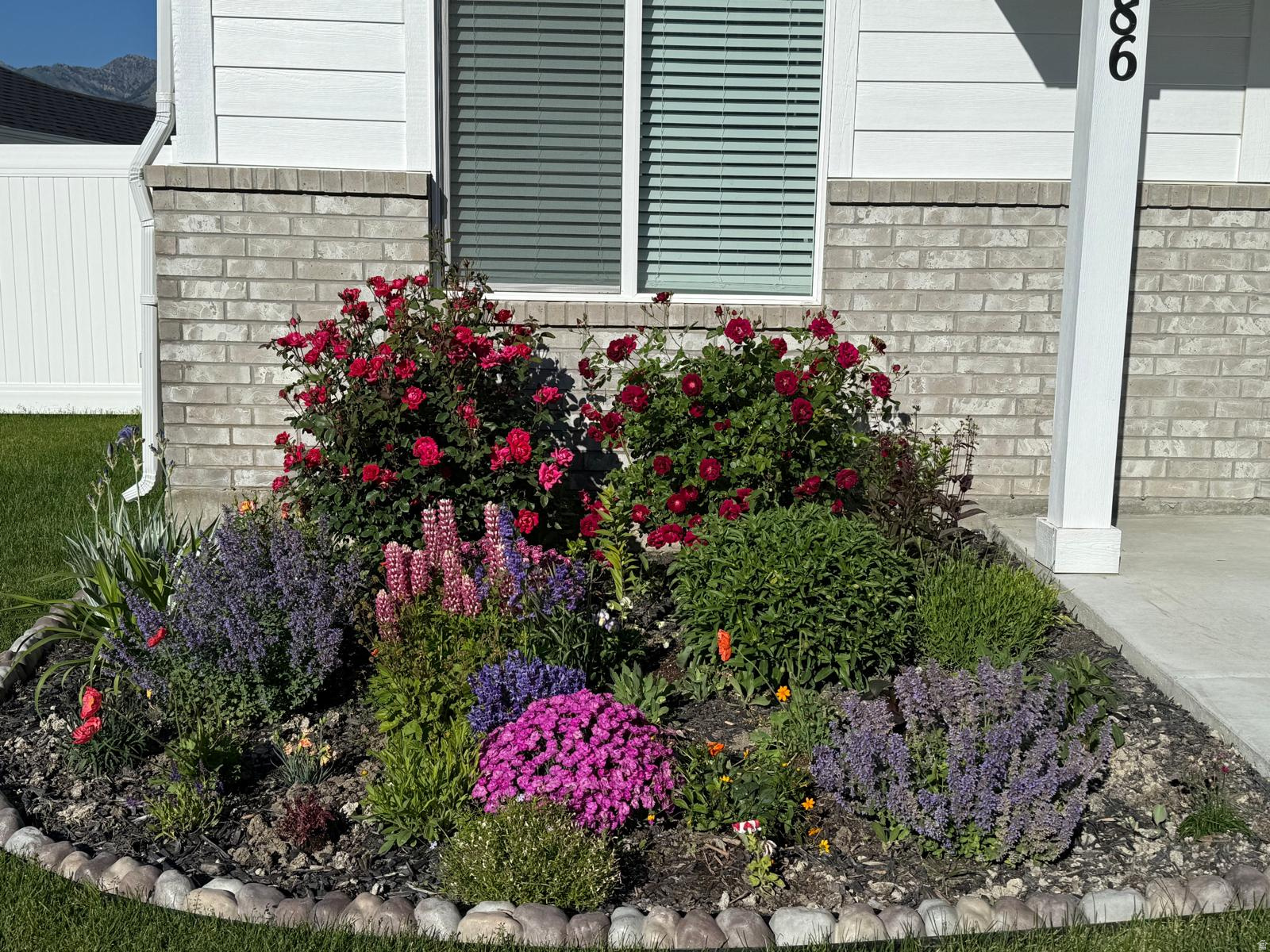 WOLFPACK CROSSING SU - Residential