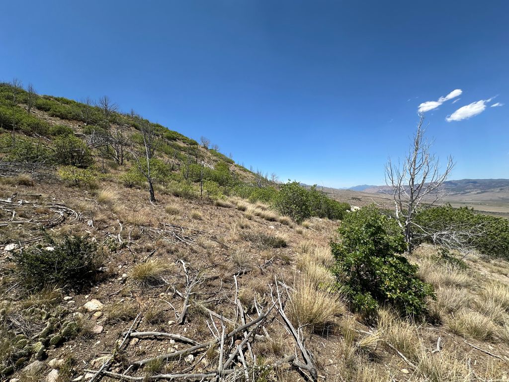 Photo of 17 C THUNDERCLOUD CIR #C17, Indianola, UT 84629 (MLS # 2168542)