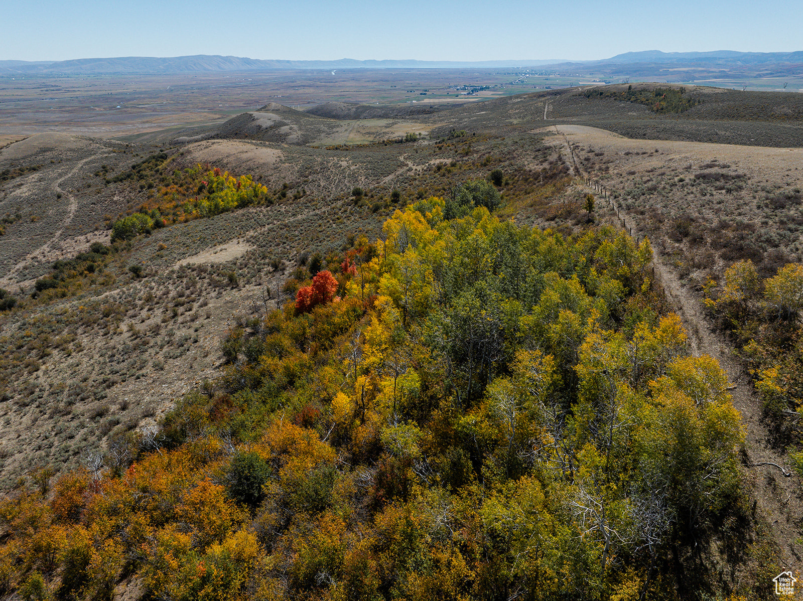 Land, Bern, Idaho image 4