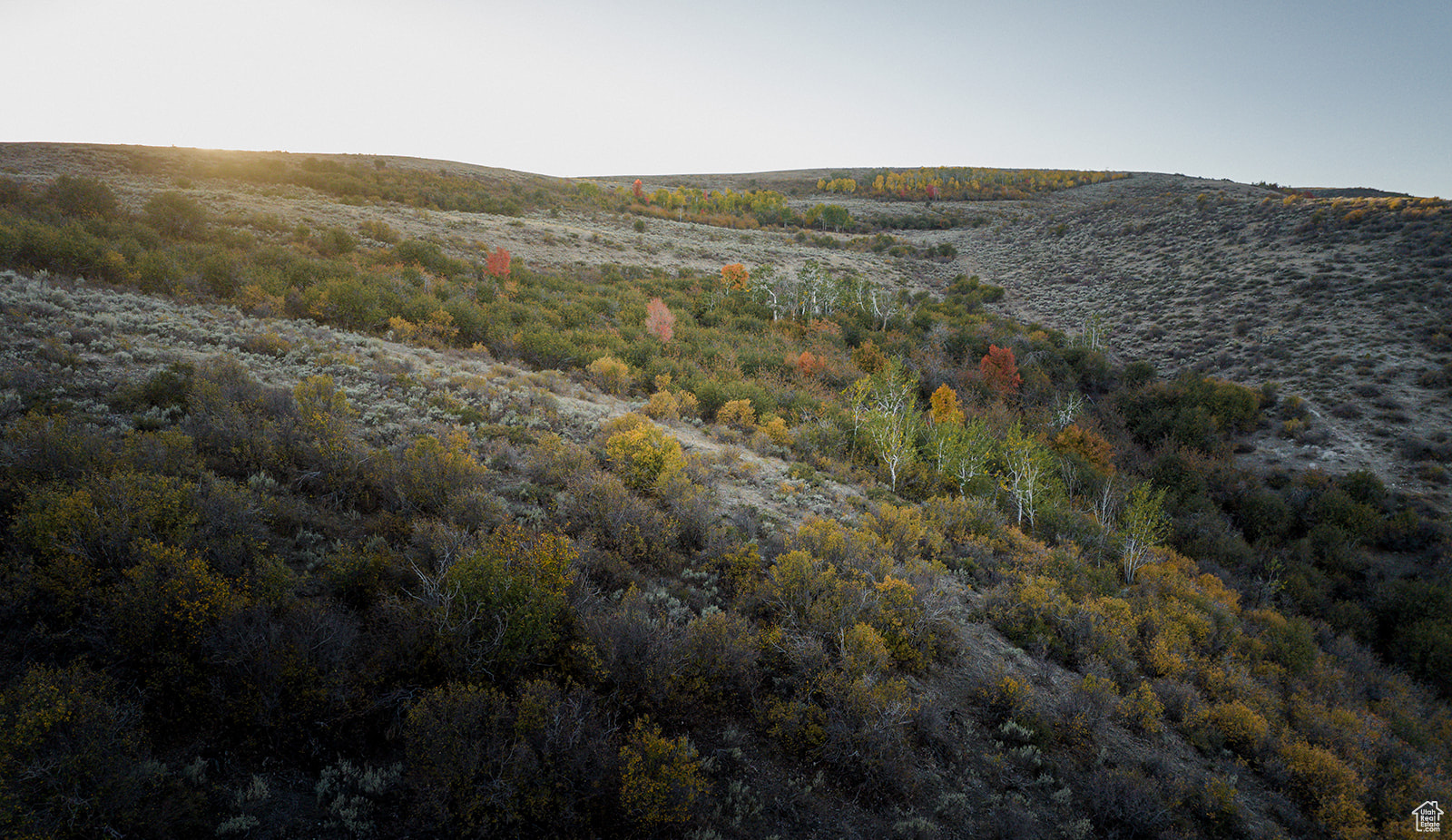 Land, Bern, Idaho image 14