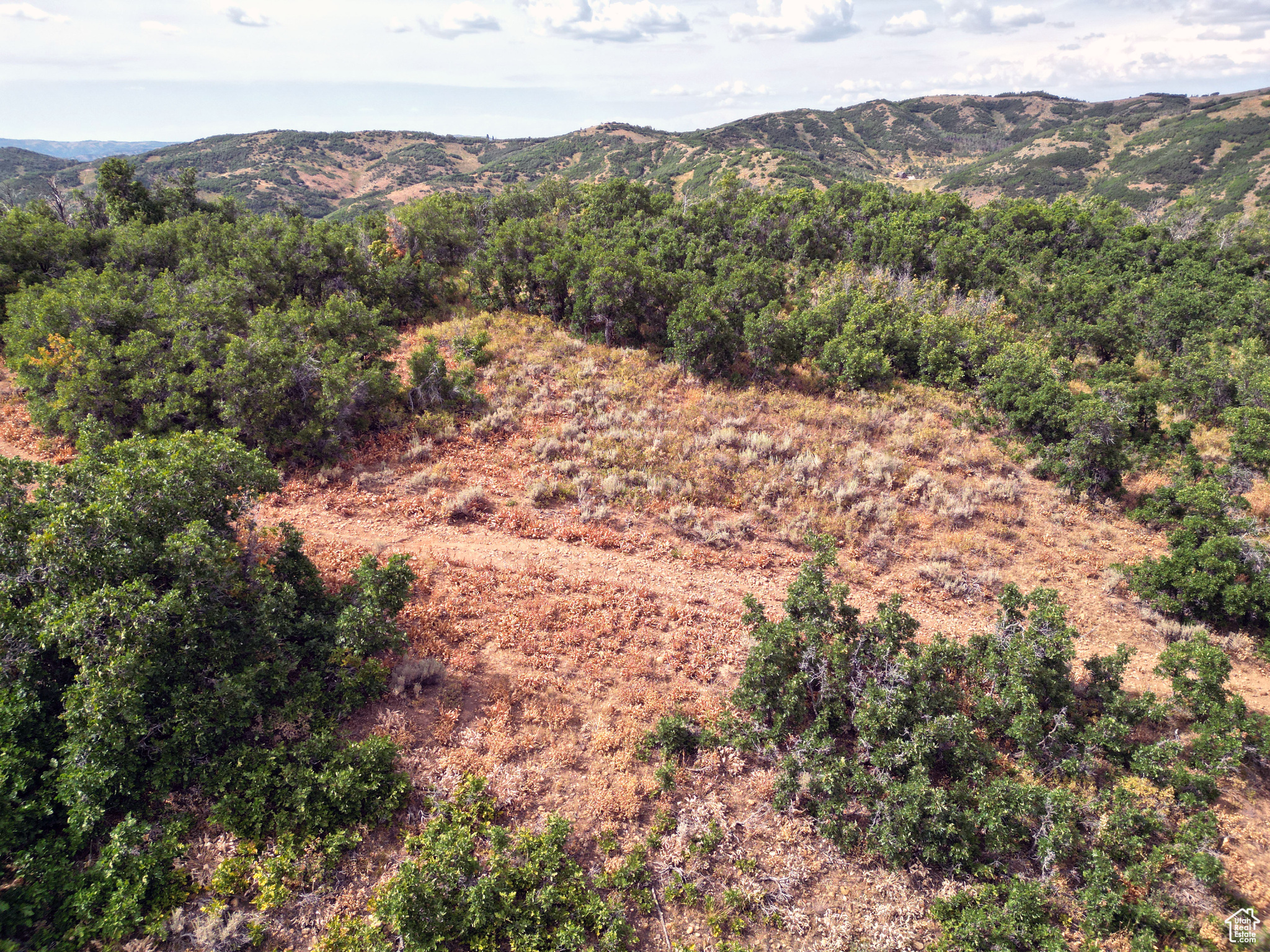 GRASS CREEK ESTATES - Land