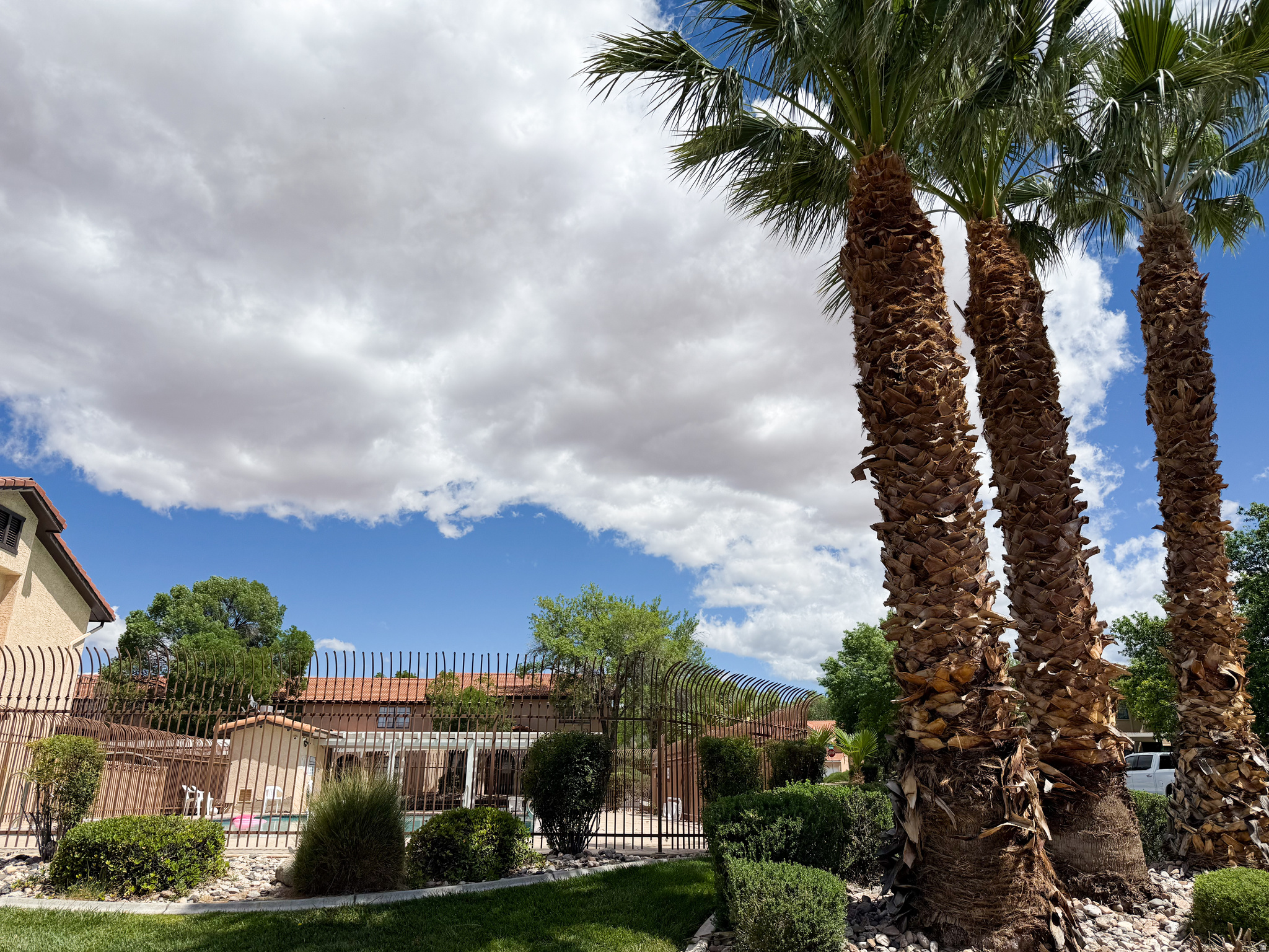 COLOR VIEW TOWNHOMES - Residential