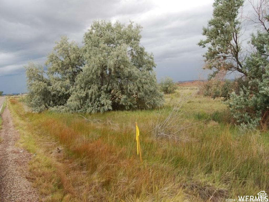 AIRPORT MEADOWS - Land