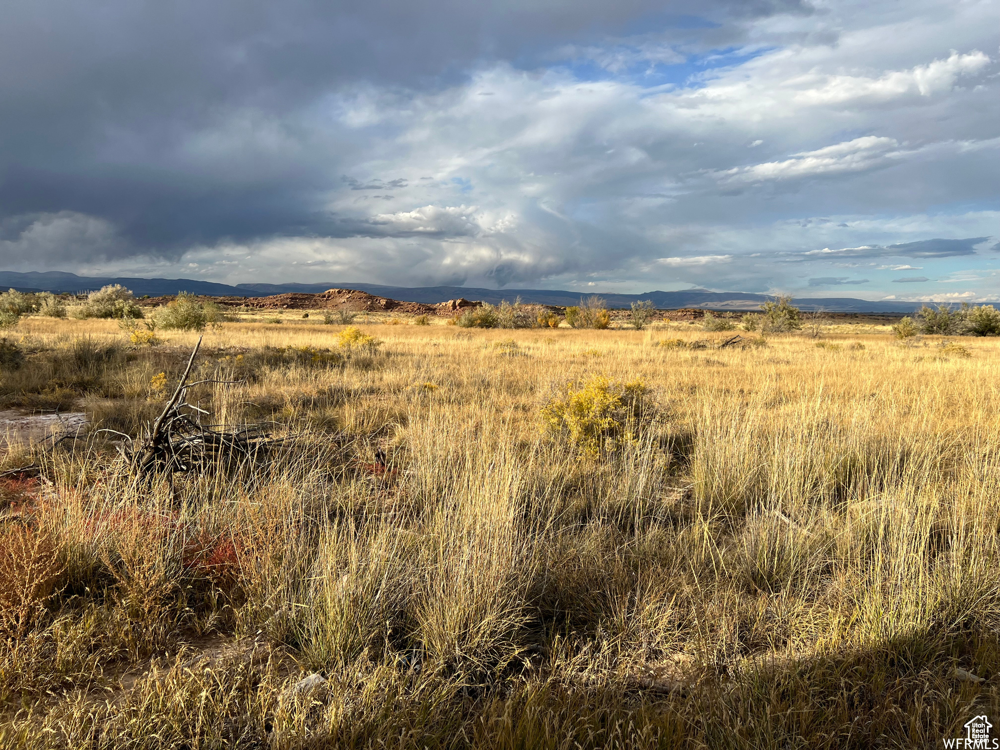 AIRPORT MEADOWS - Land