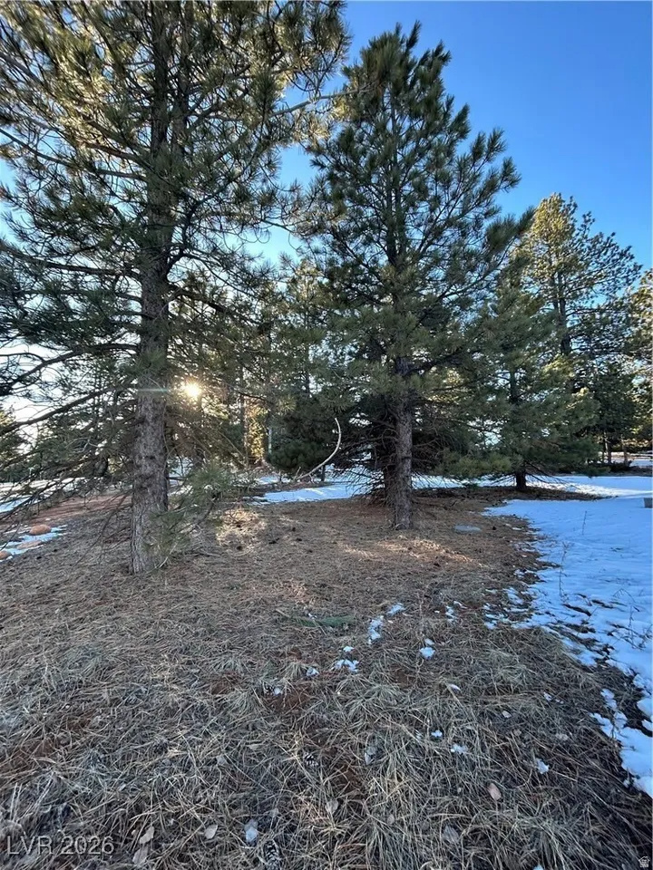 ZION VIEW MOUNTAIN ESTATES - Residential