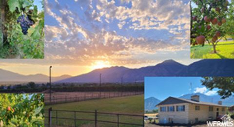 Tiny photo for 900 S GOOSENEST DR, Payson, UT 84651 (MLS # 2144872)