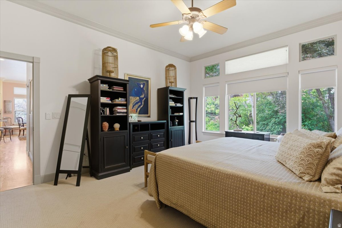 COUNTRY OAKS - Residential