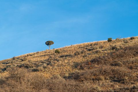 Tiny photo for 2427 S CANNON POINT DR, Salt Lake City, UT 84109 (MLS # 2127068)