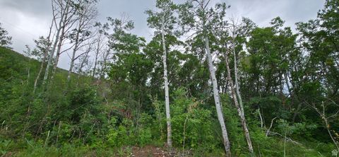 Tiny photo for 11 MT TABBY DR #11, Tabiona, UT 84072 (MLS # 2081213)