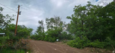 Tiny photo for 11 MT TABBY DR #11, Tabiona, UT 84072 (MLS # 2081213)