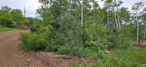 Tiny photo for 11 MT TABBY DR #11, Tabiona, UT 84072 (MLS # 2081213)