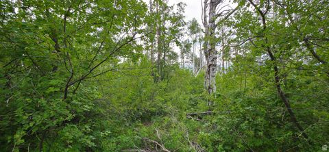 Tiny photo for 11 MT TABBY DR #11, Tabiona, UT 84072 (MLS # 2081213)