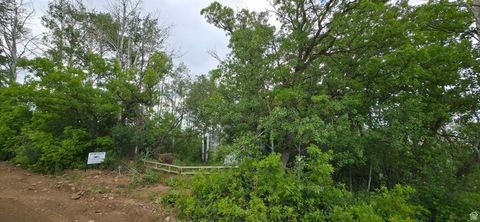 Tiny photo for 11 MT TABBY DR #11, Tabiona, UT 84072 (MLS # 2081213)