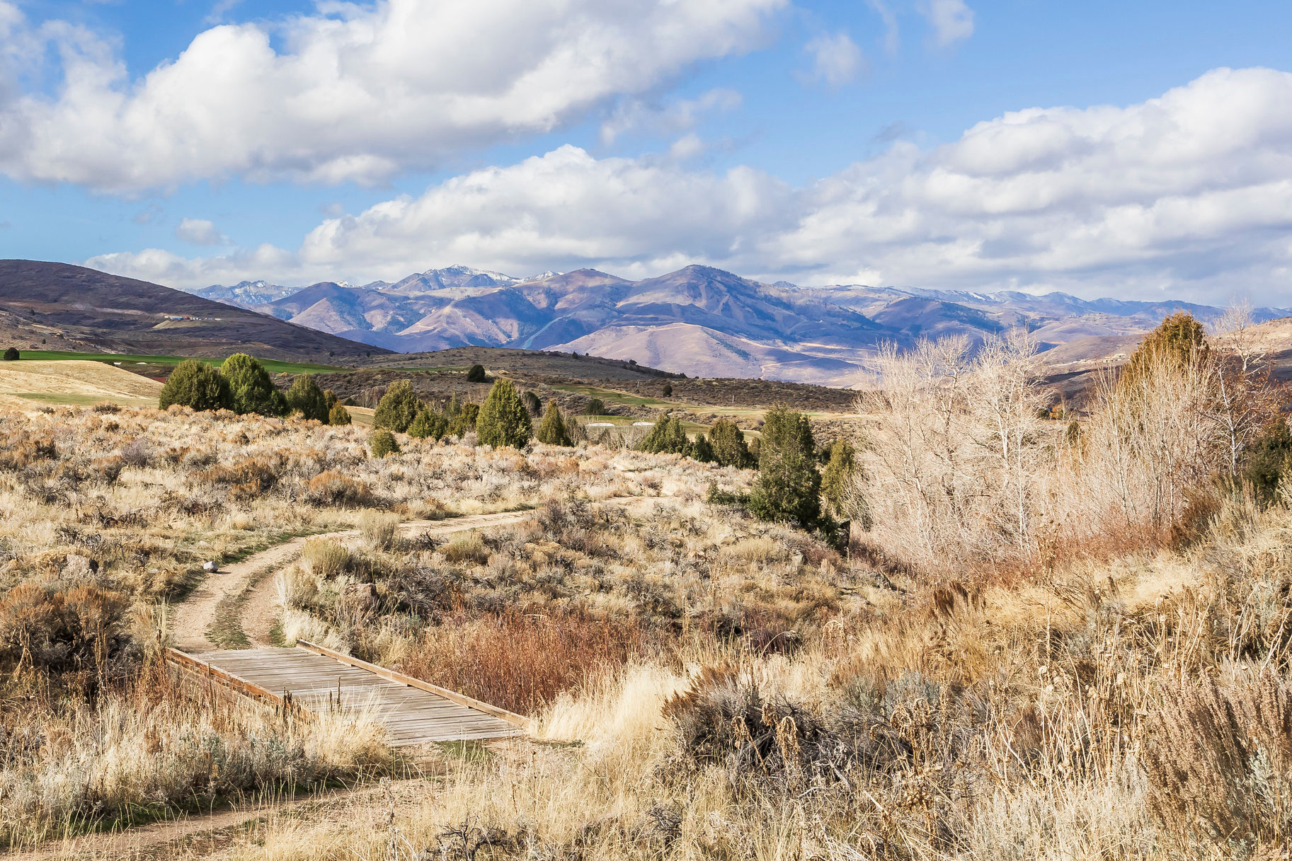 VICTORY RANCH - Residential