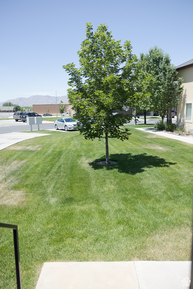 569 N 220, Salem, Utah image 31