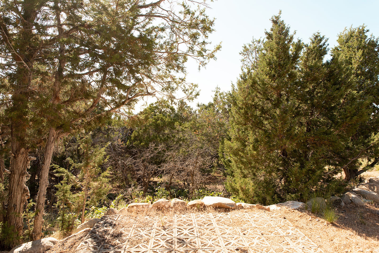 SKYLINE MOUNTAIN RESORT - Land