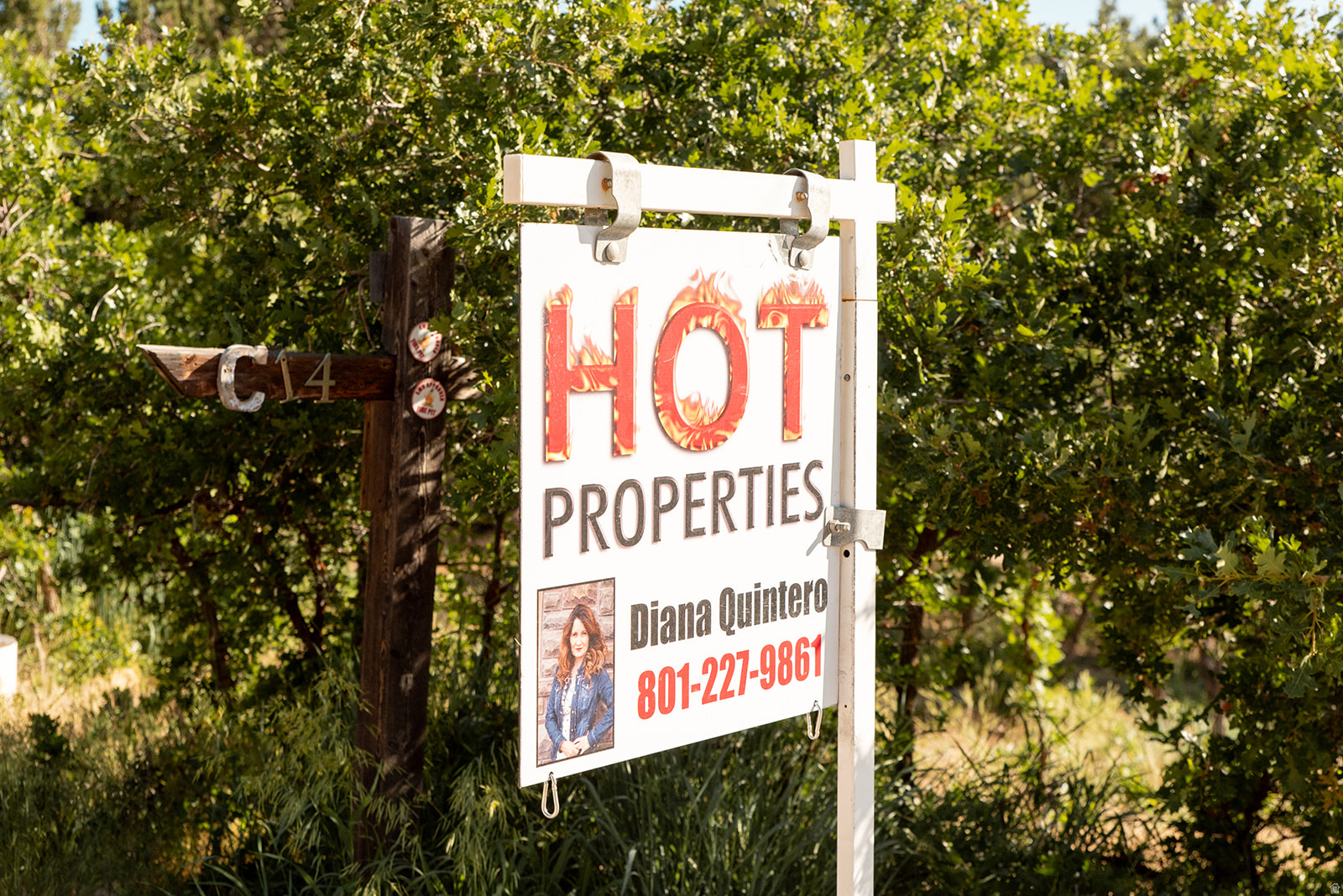 SKYLINE MOUNTAIN RESORT - Land