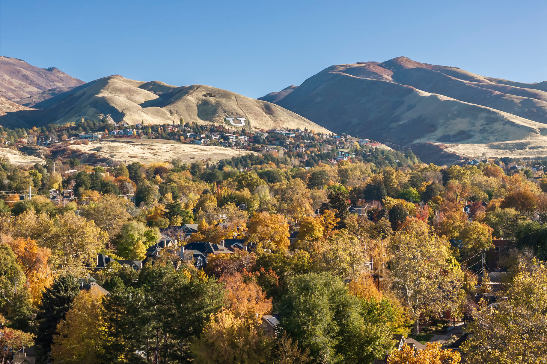 AVENUES - Residential