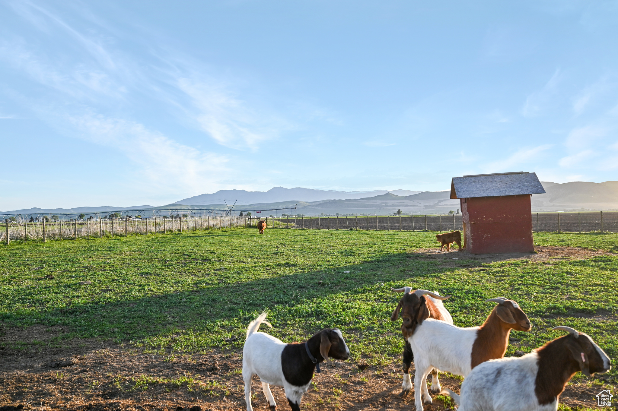 545 N 1600, Lewiston, Utah image 22