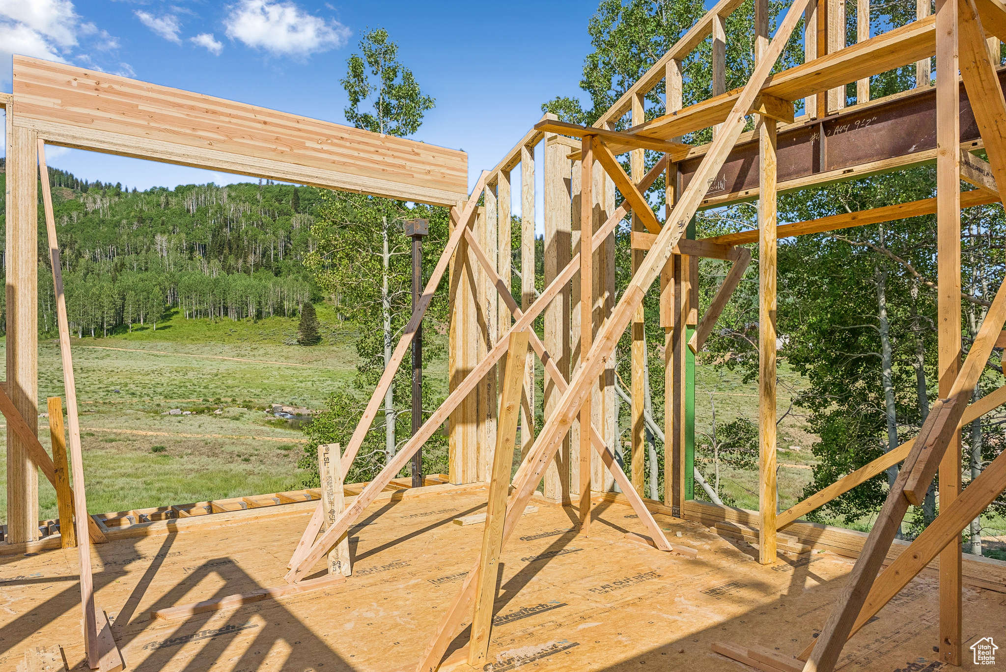 COLONY AT WHITE PINE CANYON - Residential