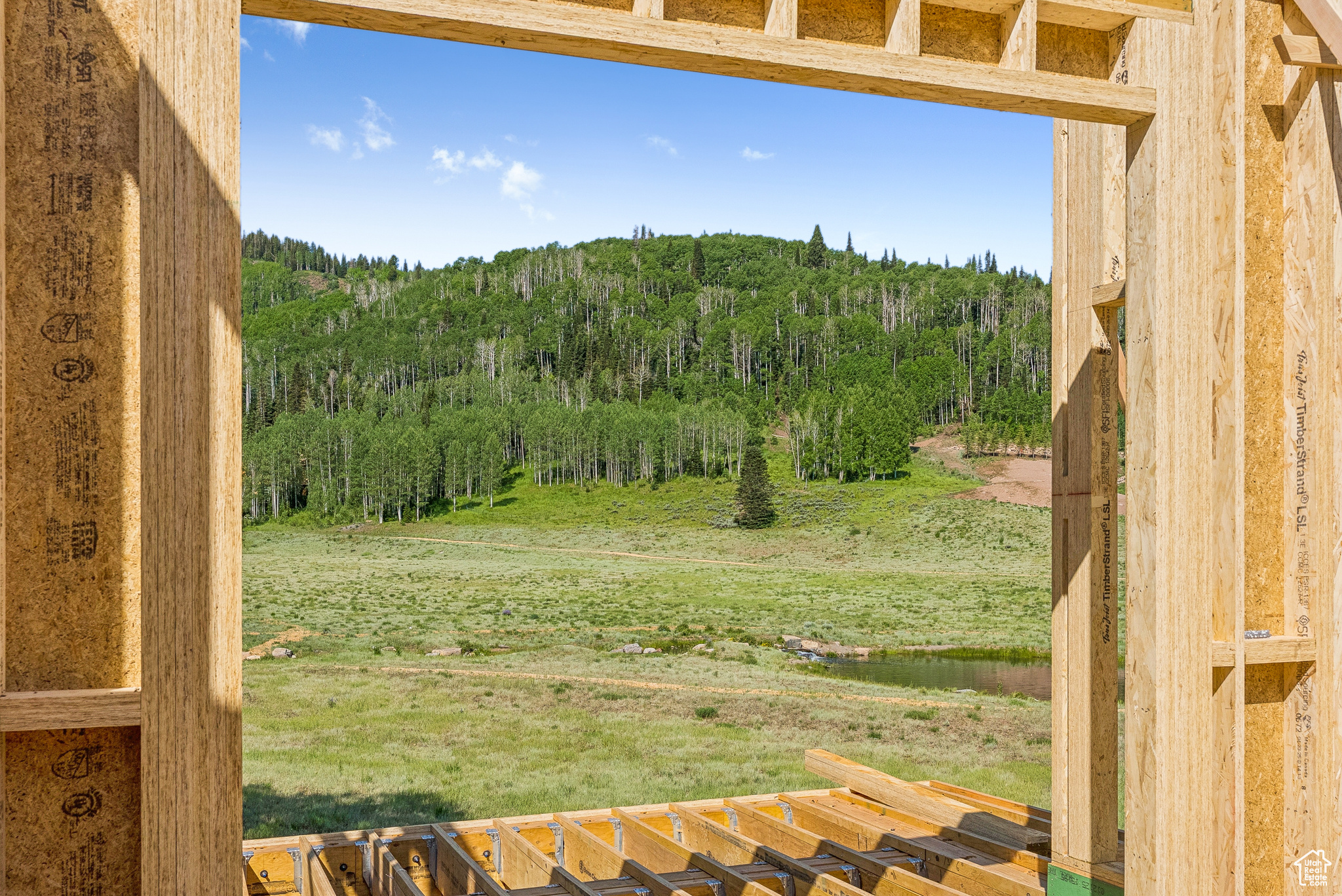 COLONY AT WHITE PINE CANYON - Residential