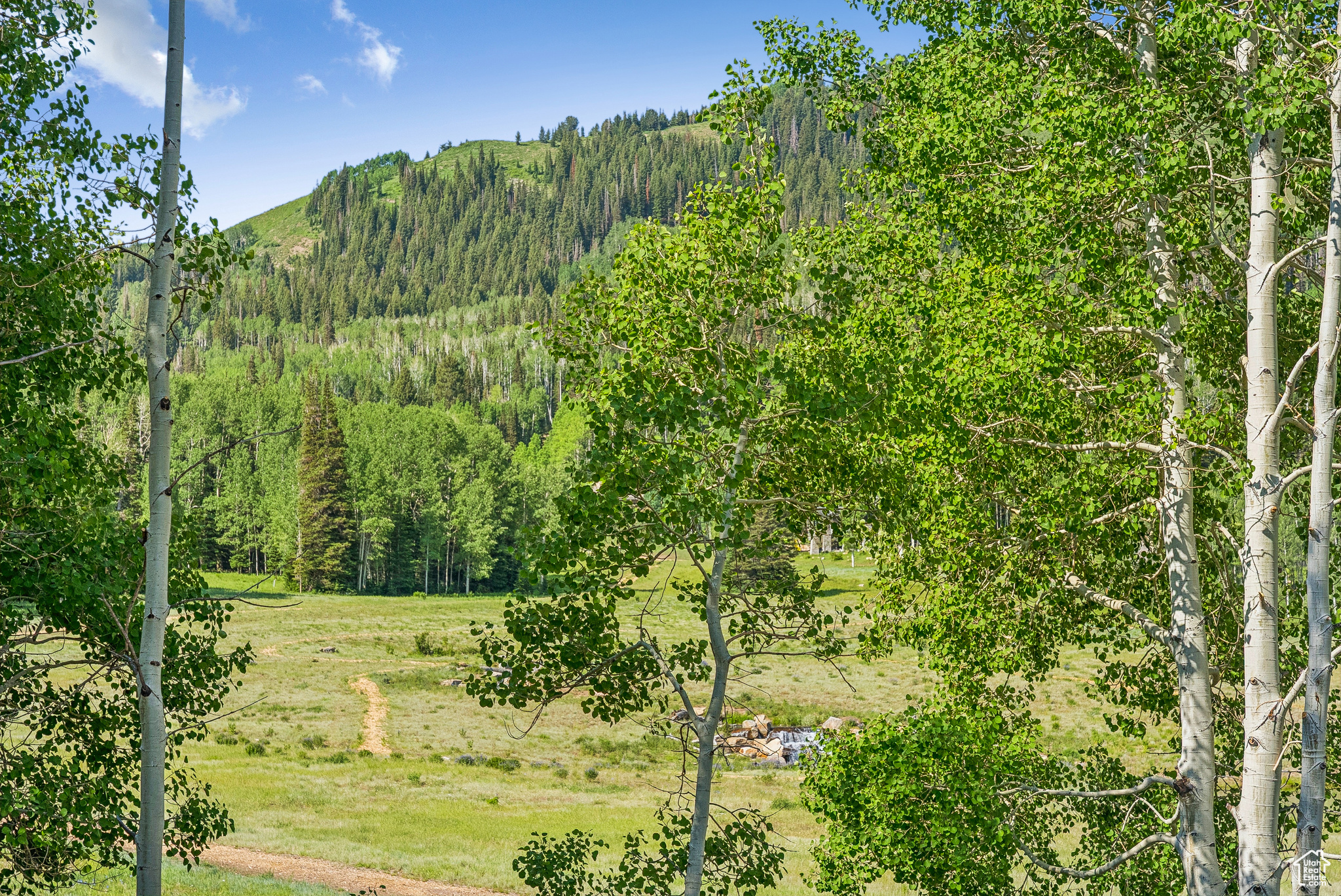 COLONY AT WHITE PINE CANYON - Residential