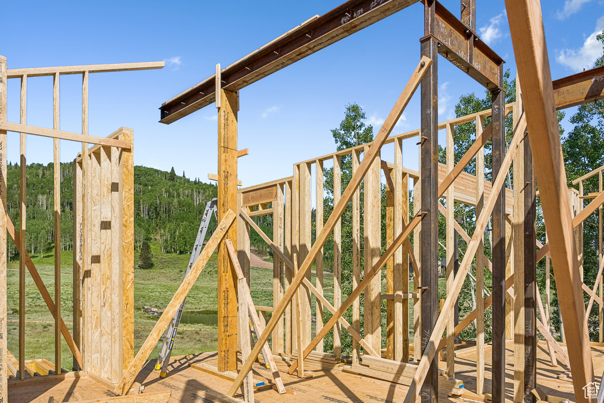 COLONY AT WHITE PINE CANYON - Residential