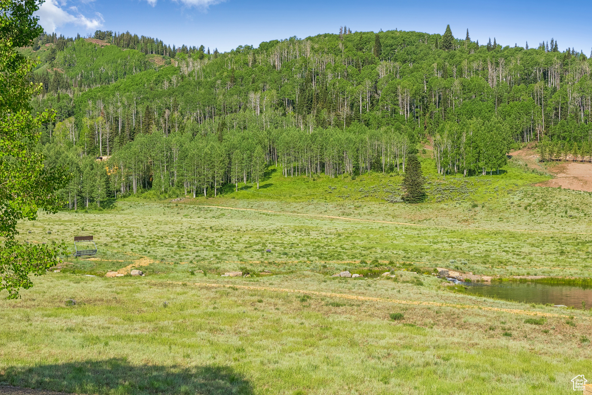 COLONY AT WHITE PINE CANYON - Residential