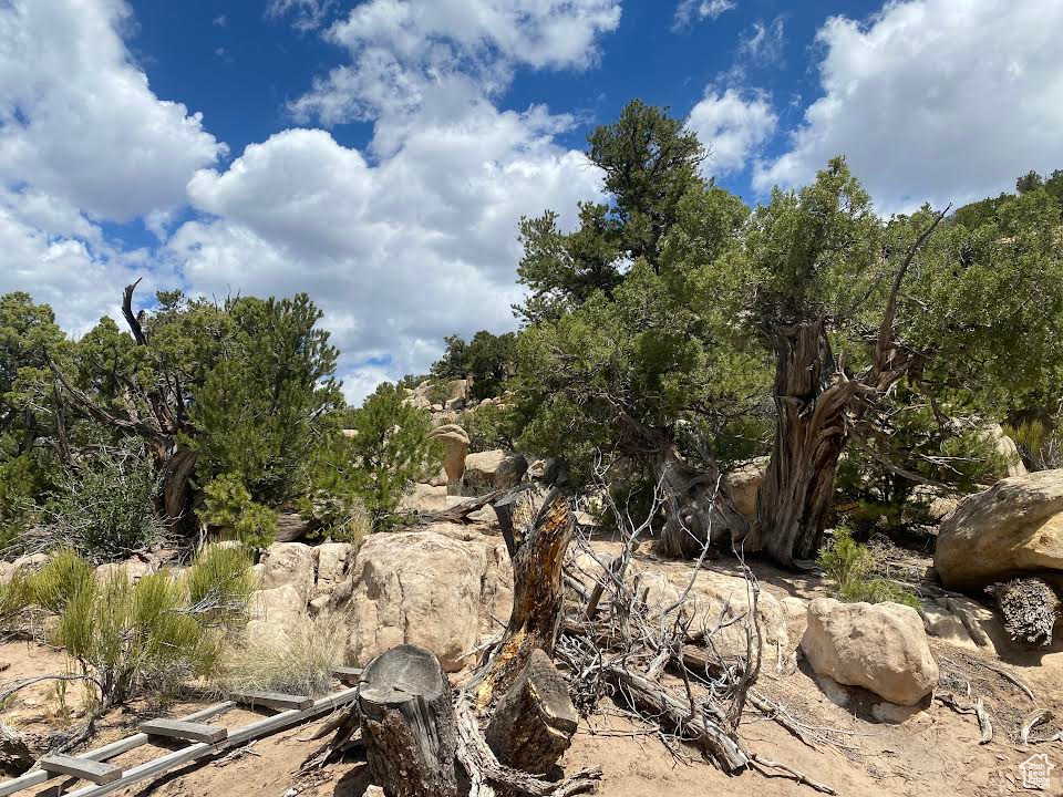 Land, Duchesne, Utah image 25