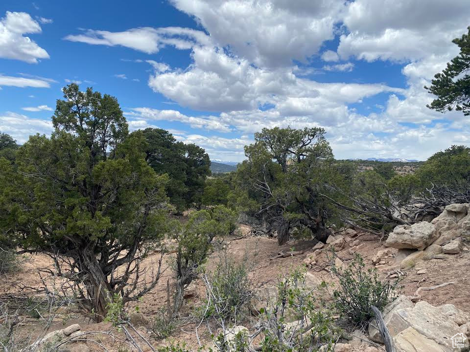 Land, Duchesne, Utah image 16