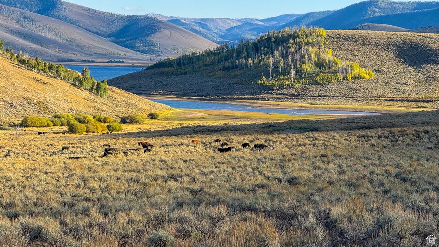 JUST OVER 3 ACRES IN ASPEN COVE - WHERE EVERY TRIP BECOMES A MEMORY  There are places you visit... and there are places that stay with you. This just-over-3-acre parcel in Aspen Cove belongs to the second category - the kind of spot where weekends turn into traditions, and family stories get retold for years.  Set above the stunning Scofield Reservoir, this lot gives you front-row access to everything the area is famous for. Summer days on the water fishing or boating. Cool evenings grilling with friends. Trails that wind for miles, perfect for ATVs, side-by-sides, dirt bikes, and e-dirt bikes. Winter adventures on snowmobiles, snowshoes, or skis. And spring and fall? Absolutely unbeatable.  This isn't just land - it's a basecamp for every kind of memory: Kids catching their first fish. Friends racing up trails at sunrise. Family nights around a fire under a sky full of stars. Quiet mornings where the world feels simple again.  Aspen Cove offers security, year-round access, incredible views, and the perfect balance of community and seclusion. Build a cabin and create a getaway spot that becomes your family's favorite place on earth.  Conveniently located near the HOA's pavilion, plus tennis, pickleball, and basketball courts for year-round enjoyment.   Square footage figures are provided as a courtesy estimate only.  Buyer is advised to obtain an independent measurement.