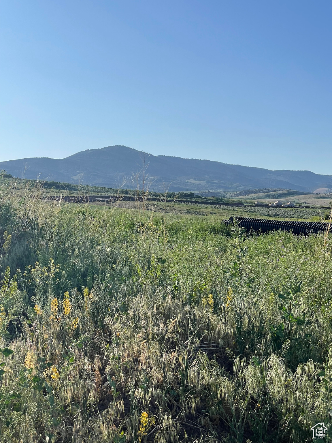 LON RIDGE @ BEAR LAKE LLC - Land