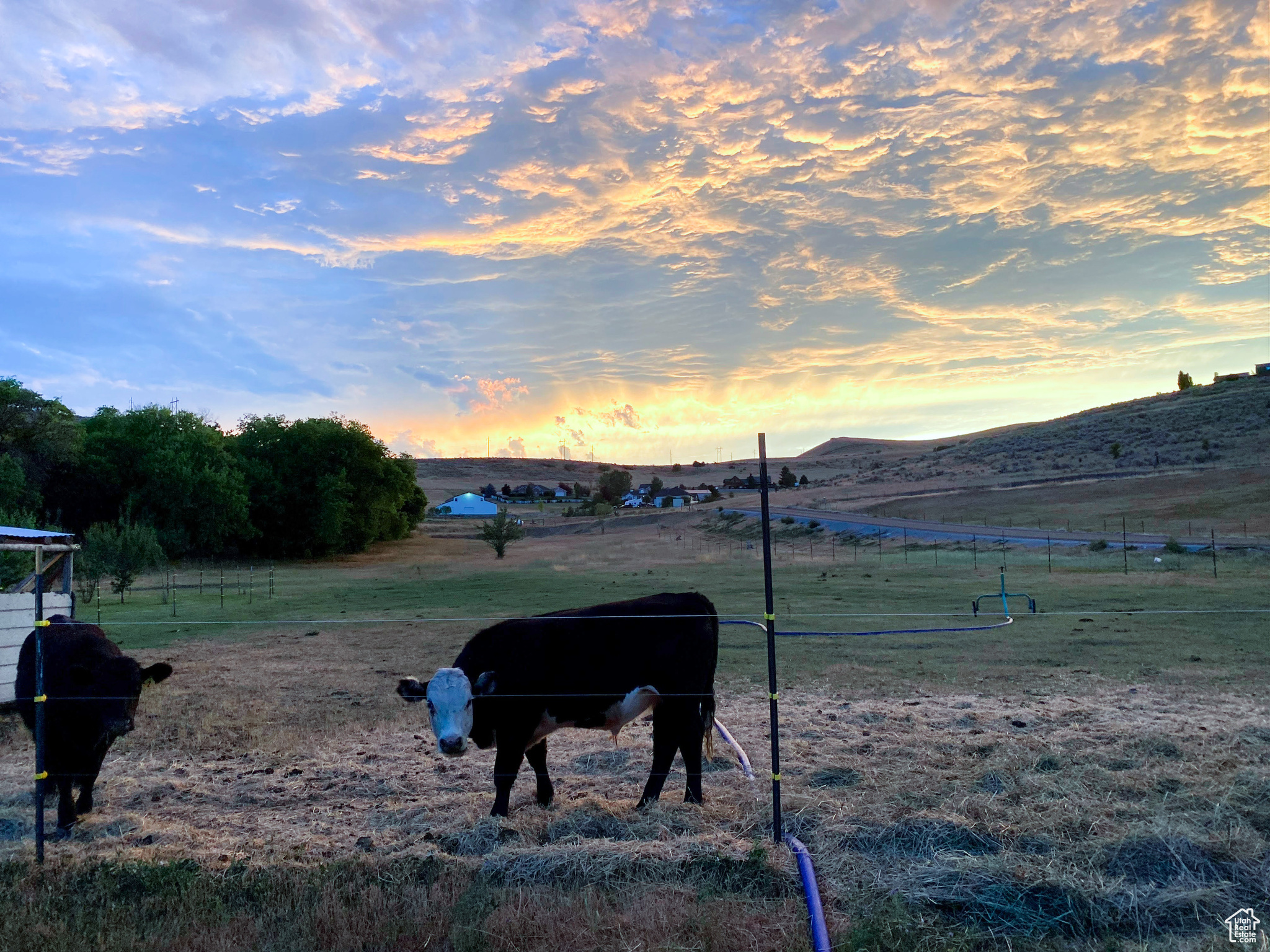 135 Ranch Loop Rd, Preston, Idaho image 49