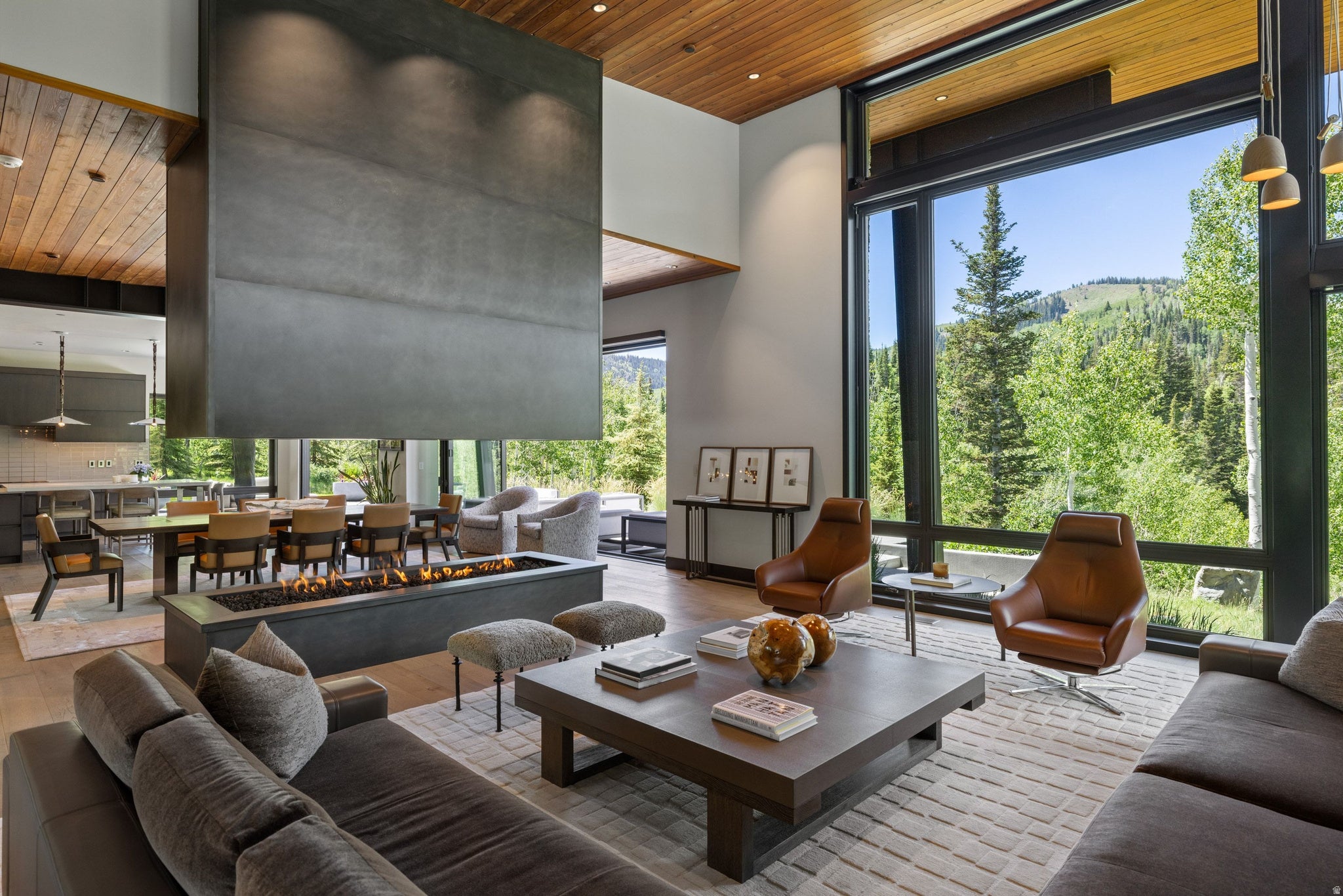 210 WHITE PINE CANYON RD