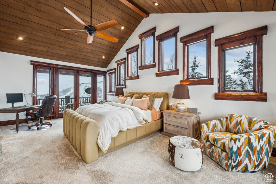 SNOWTOP - Residential