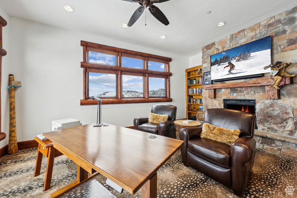 SNOWTOP - Residential
