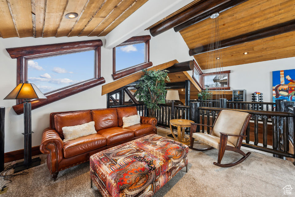 SNOWTOP - Residential