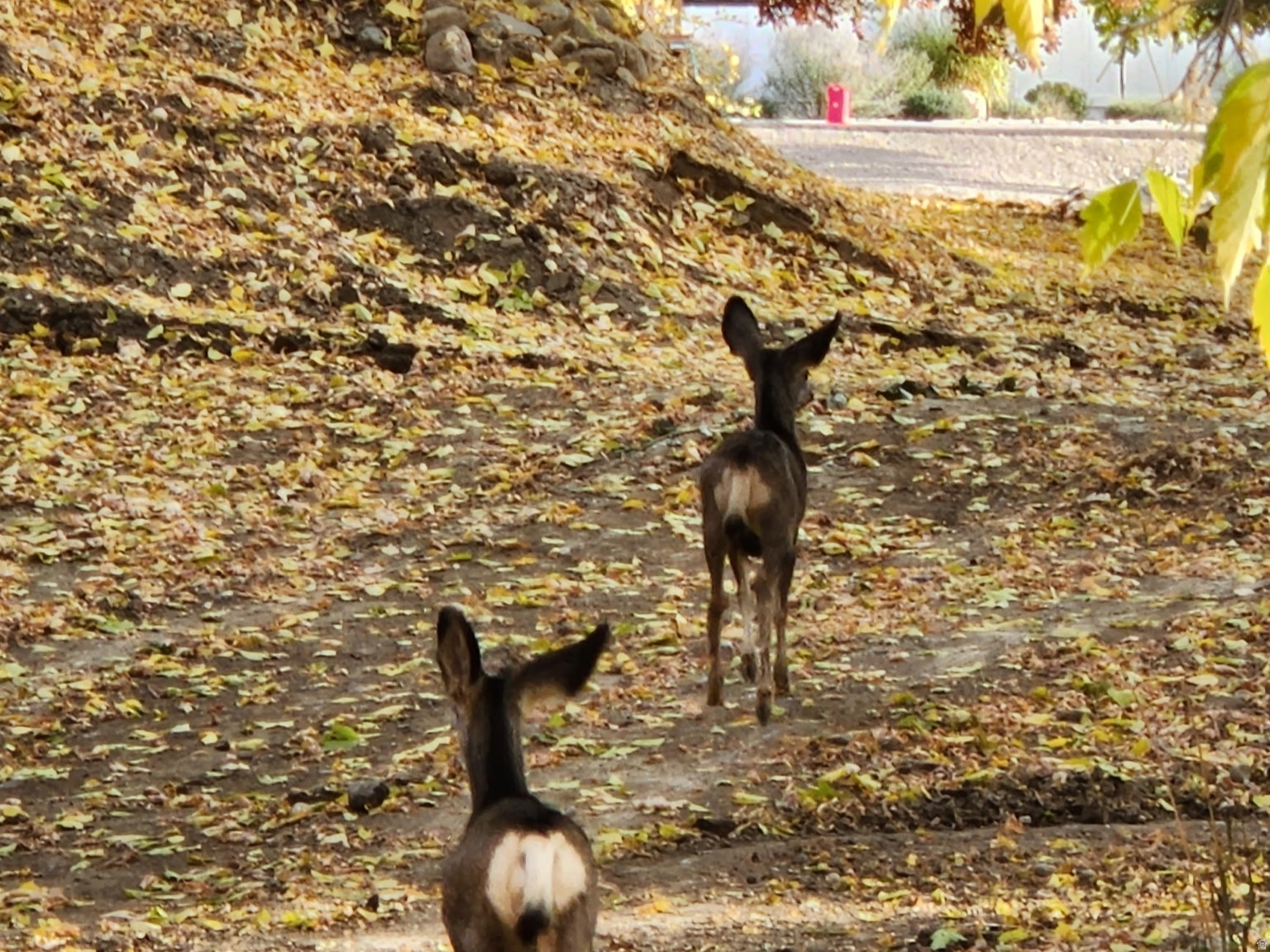 EAST SUNSET RIDGE - Residential