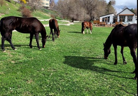 Tiny photo for 711 E 400 N, Springville, UT 84663 (MLS # 2135907)