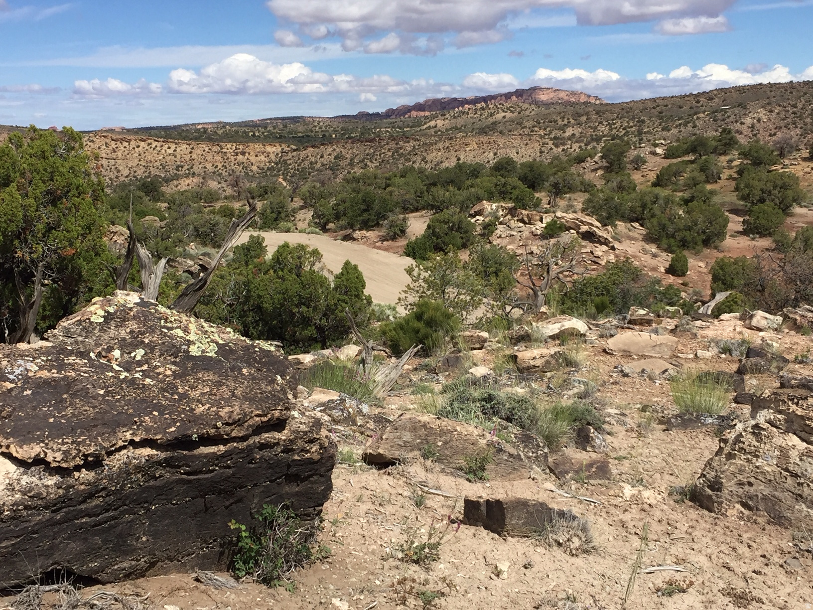 KANE CREEK CANYON ES - Land