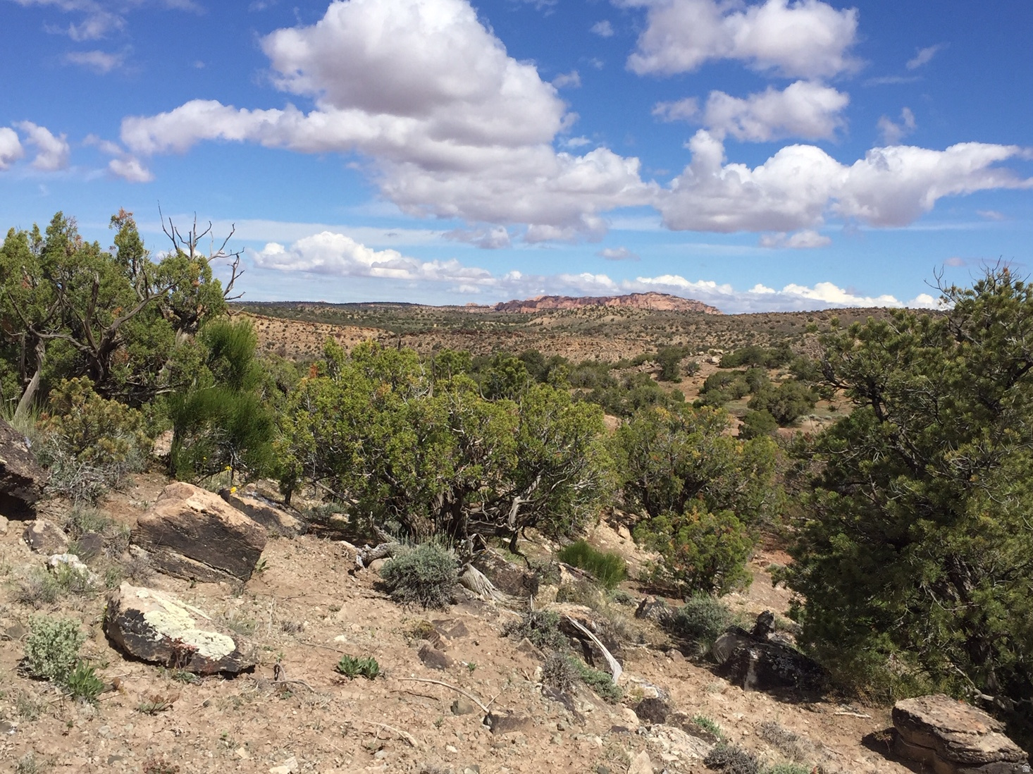 KANE CREEK CANYON ES - Land