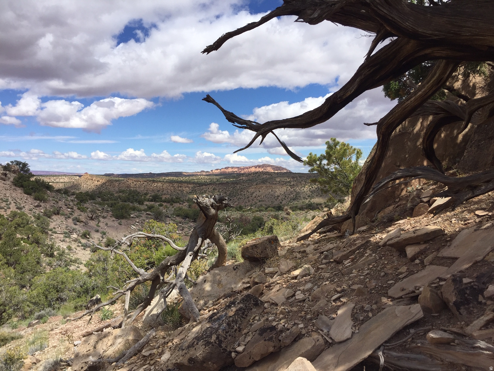 KANE CREEK CANYON ES - Land