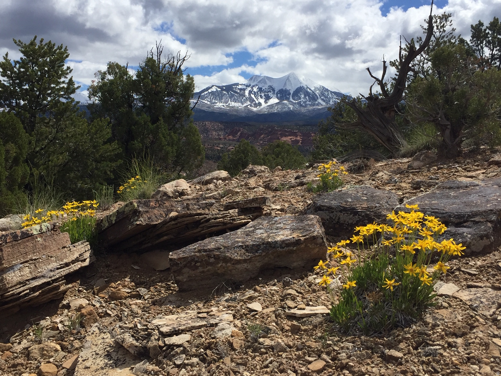 KANE CREEK CANYON ES - Land
