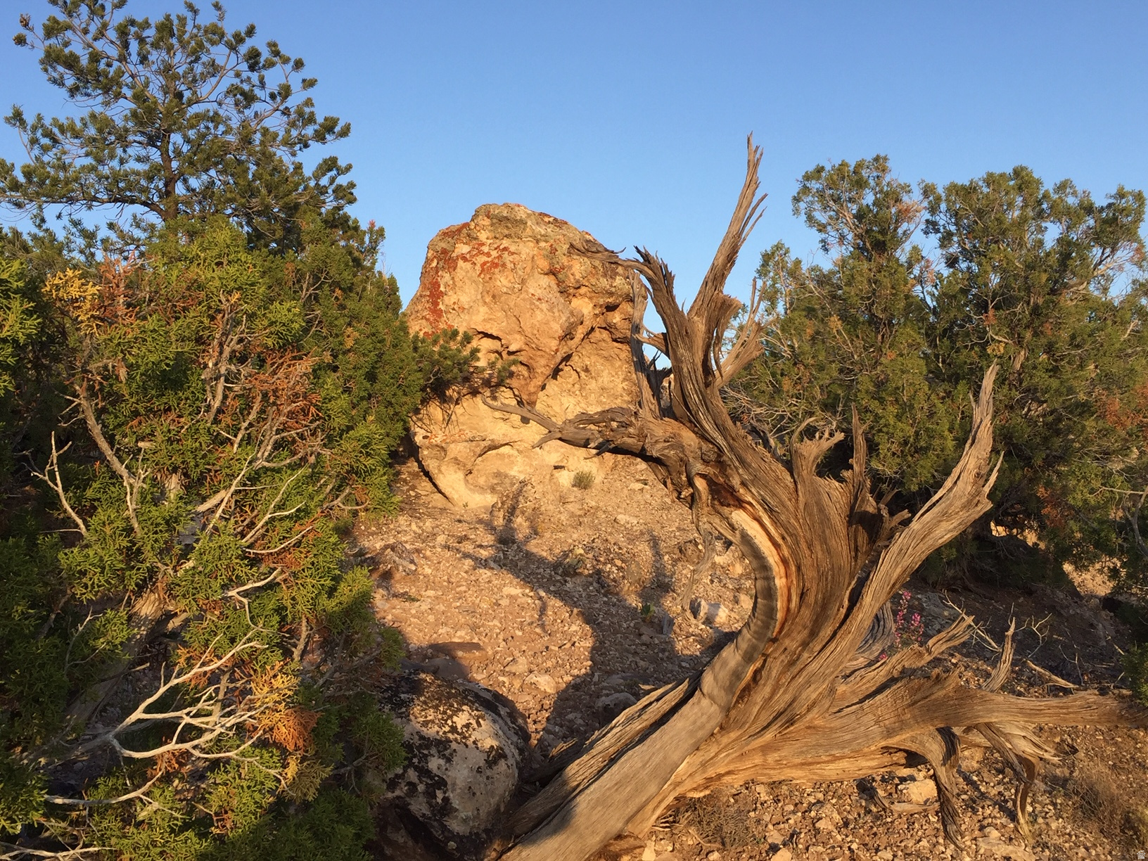 KANE CREEK CANYON ES - Land